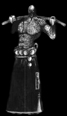 The SWAD